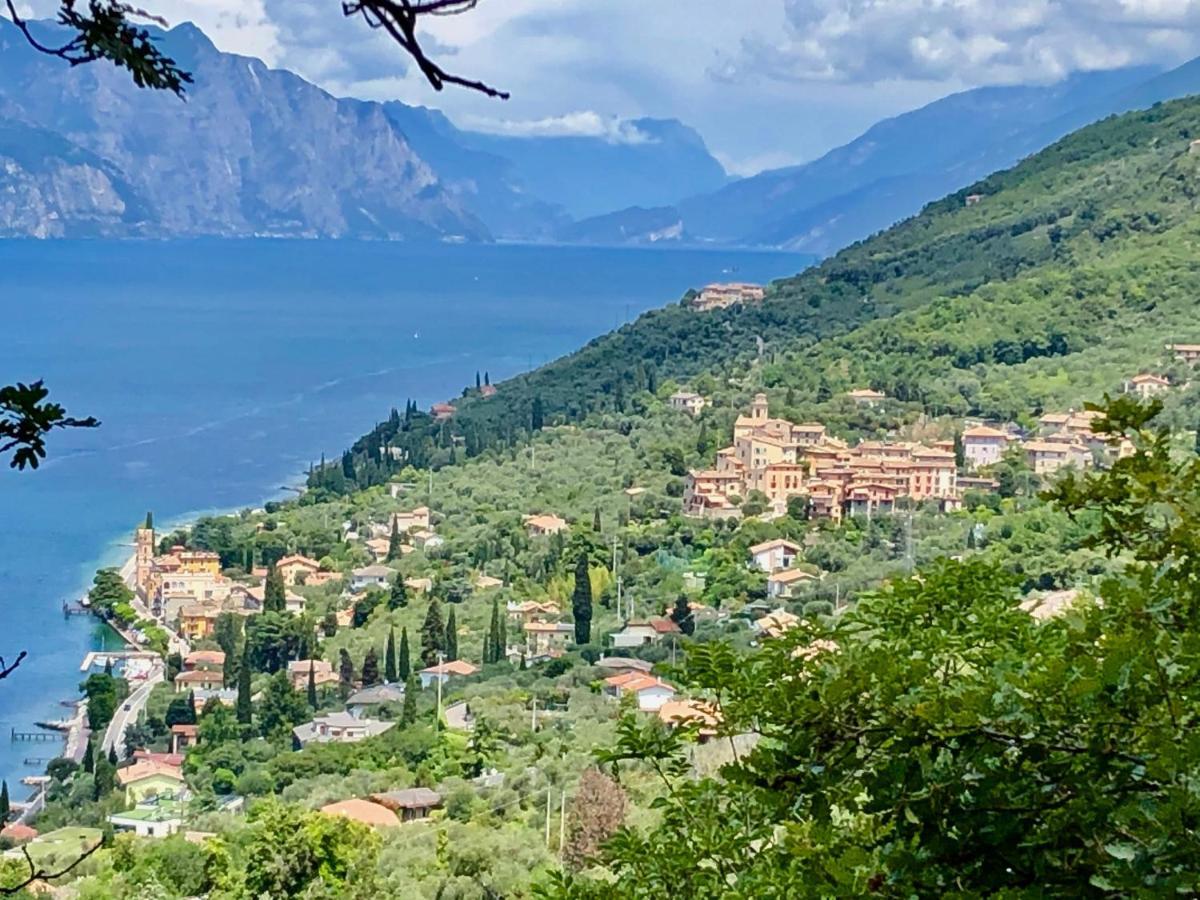 Hotel Zanetti Torri Del Benaco Εξωτερικό φωτογραφία