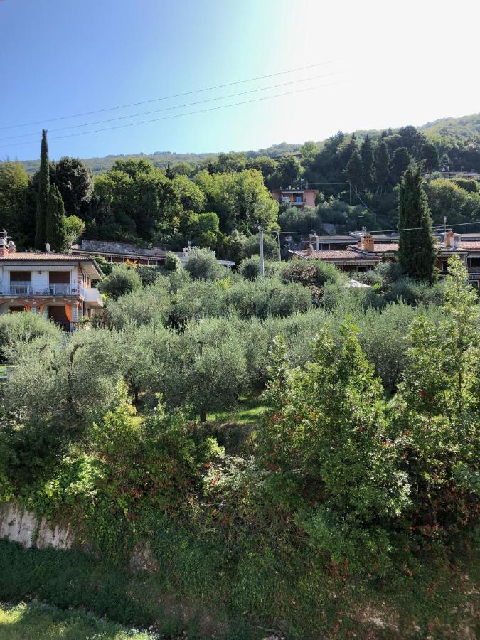 Hotel Zanetti Torri Del Benaco Εξωτερικό φωτογραφία