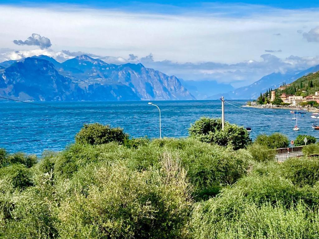 Hotel Zanetti Torri Del Benaco Εξωτερικό φωτογραφία