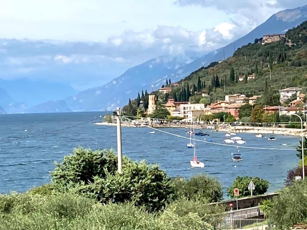 Hotel Zanetti Torri Del Benaco Εξωτερικό φωτογραφία