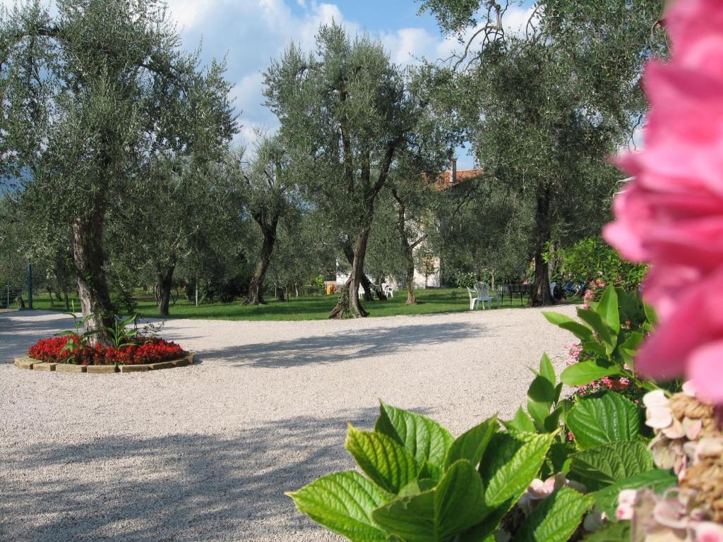 Hotel Zanetti Torri Del Benaco Εξωτερικό φωτογραφία