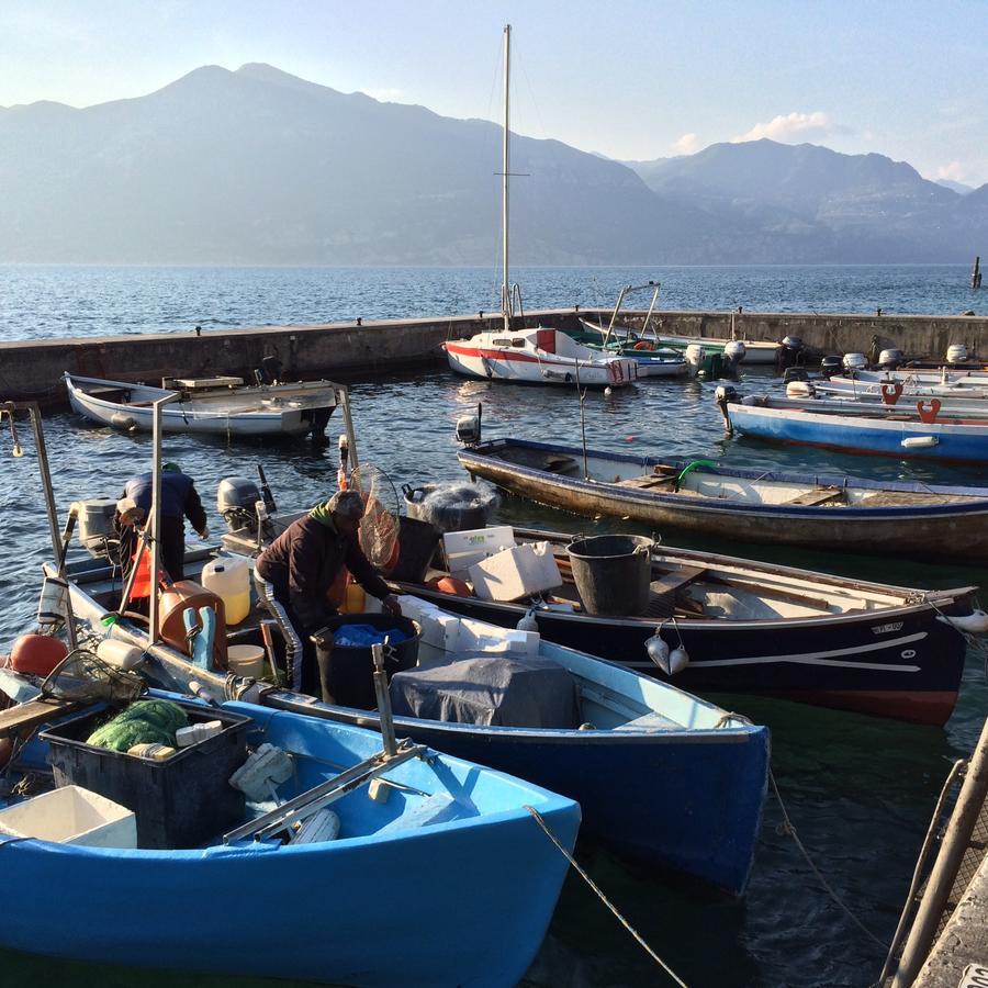 Hotel Zanetti Torri Del Benaco Εξωτερικό φωτογραφία